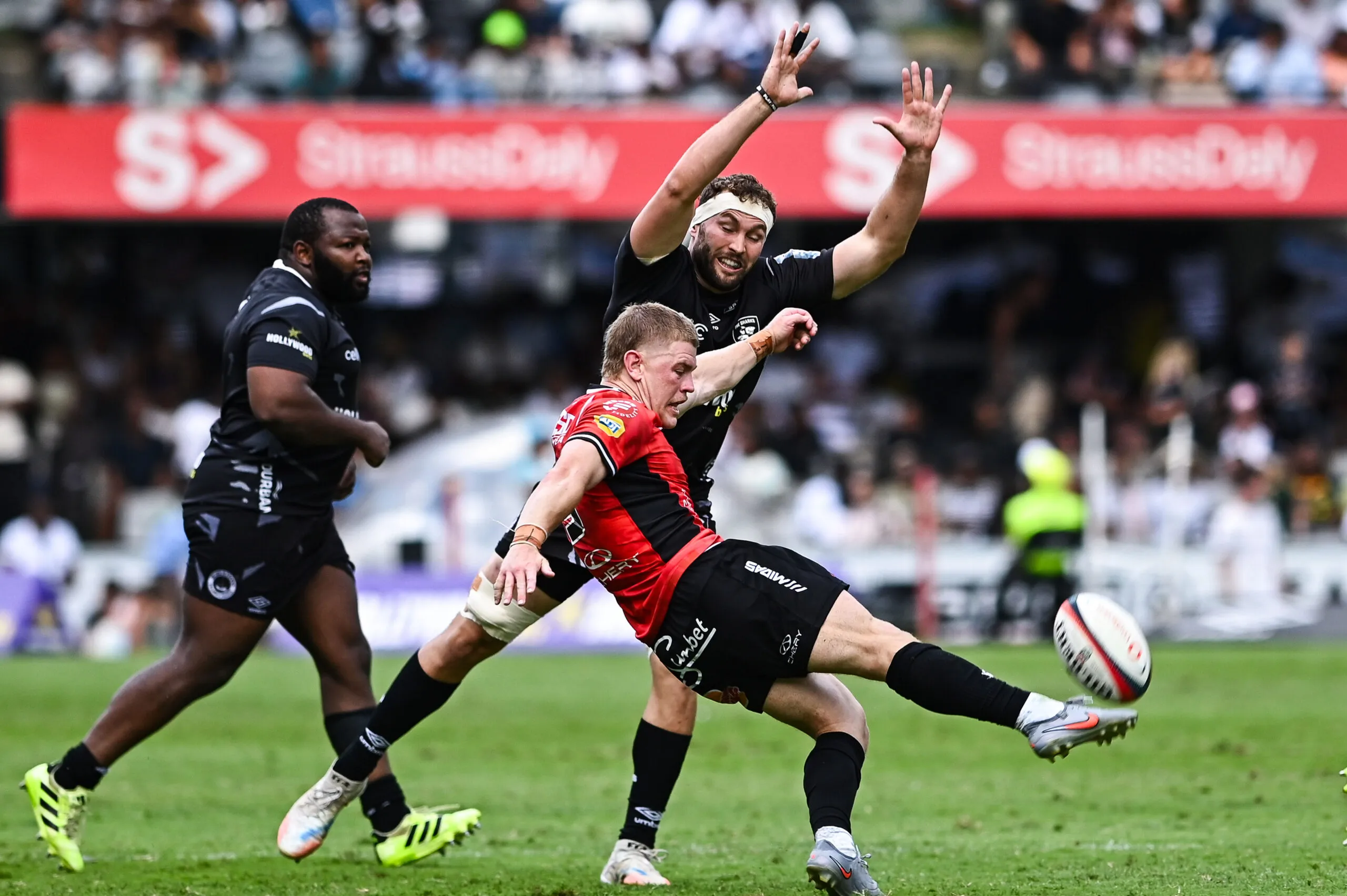 Round 8 Preview: Lions vs Hollywoodbets Sharks