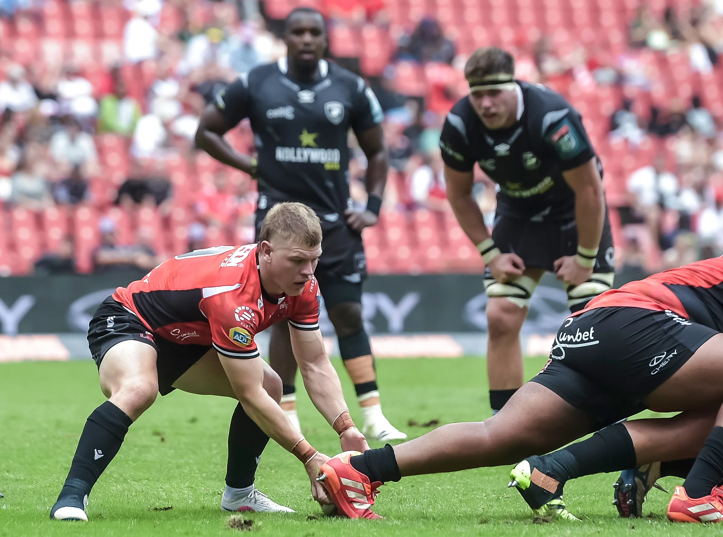 Lions v Hollwoodbets Sharks Match Highlights